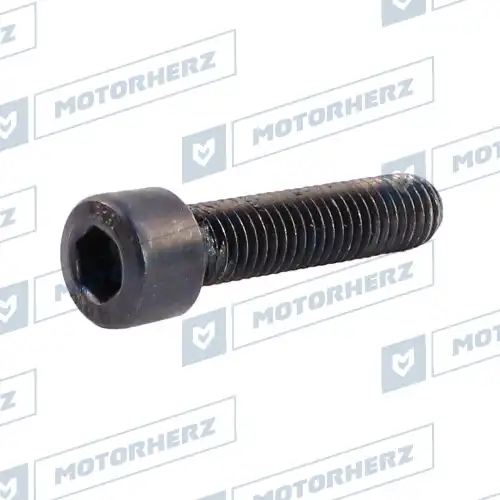 Болт рулевого агрегата HLL00596 MOTORHERZ