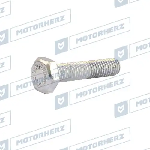 Болт рулевого агрегата HLL00578 MOTORHERZ