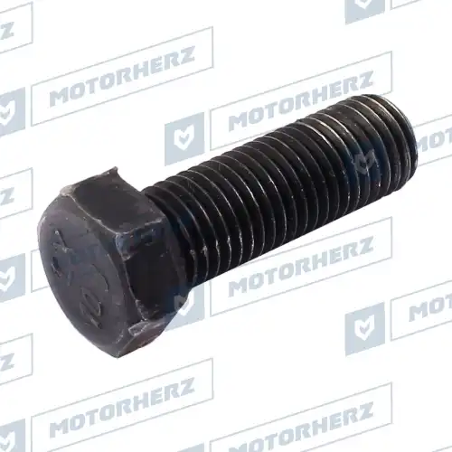 Болт рулевого агрегата HLL00595 MOTORHERZ