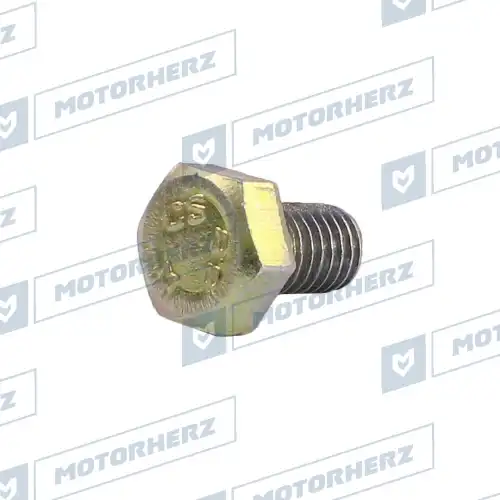 Болт рулевого агрегата HLL00598 MOTORHERZ