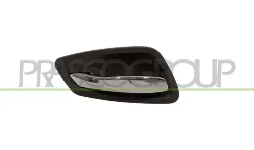 Ручка двери PRASCO BM0258402