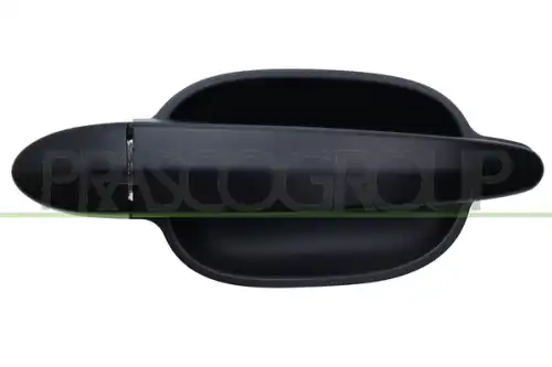 Ручка двери PRASCO BM0468104