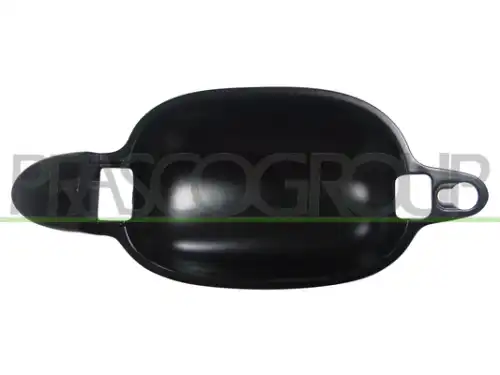 Ручка двери PRASCO BM0468203