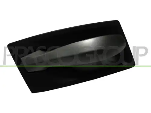 Ручка двери PRASCO BM0468401