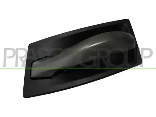 Ручка двери PRASCO BM0468402
