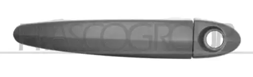 Ручка двери PRASCO BM8028002