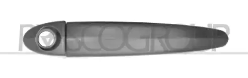 Ручка двери PRASCO BM8028004