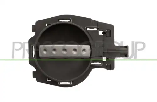 Ручка двери PRASCO CI3048601