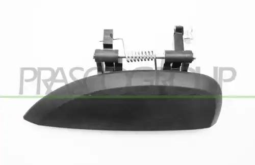 Ручка двери PRASCO DA2248002