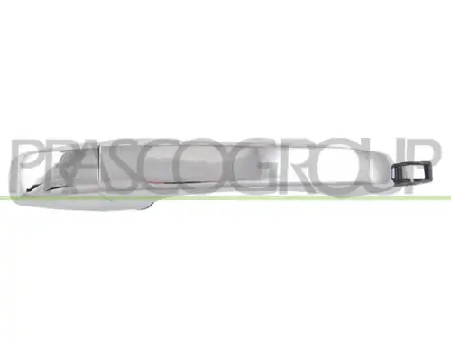 Ручка двери PRASCO DG0118115