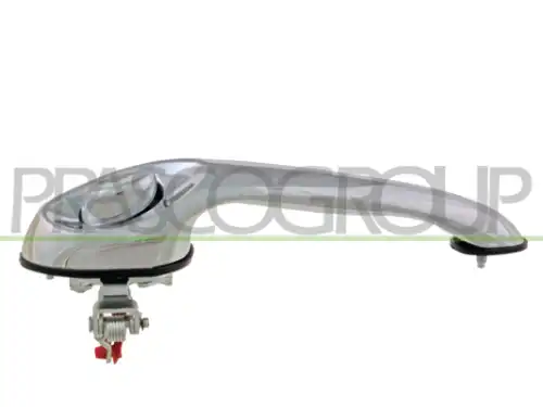 Ручка двери PRASCO DG4108005