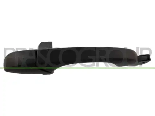 Ручка двери PRASCO JE0308001