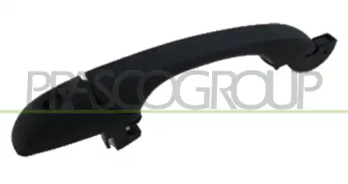 Ручка двери PRASCO JE0308041