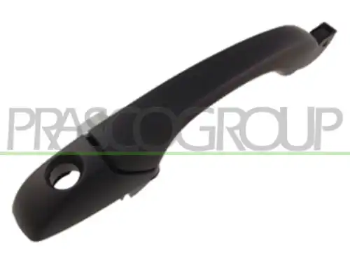 Ручка двери PRASCO JE0308043