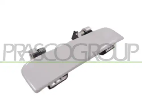 Ручка двери PRASCO DS0148303