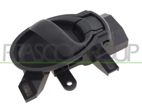 Ручка двери PRASCO DS0148601