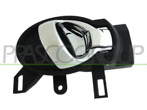 Ручка двери PRASCO DS0148605