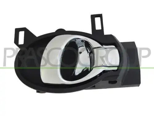 Ручка двери PRASCO DS0148606
