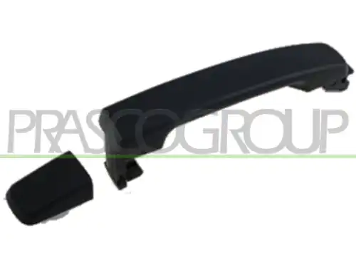 Ручка двери PRASCO DS8148017