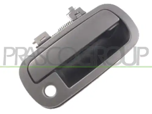 Ручка двери PRASCO DS8108001