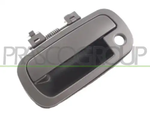 Ручка двери PRASCO DS8108002