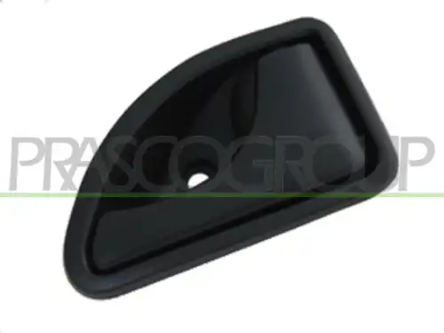Ручка двери PRASCO DS9178401