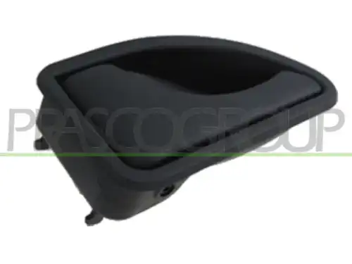 Ручка двери PRASCO DS9178402