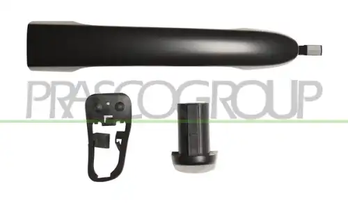 Ручка двери PRASCO FD0088003