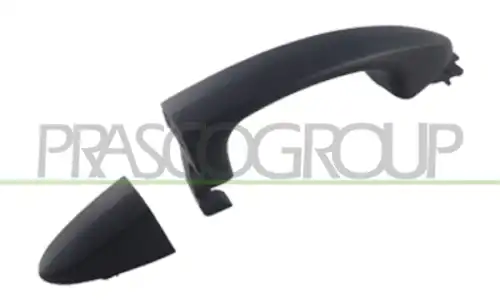 Ручка двери PRASCO FD3448013