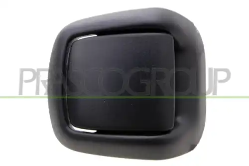 Ручка двери PRASCO FD3448404
