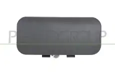 Ручка двери PRASCO FD9108301