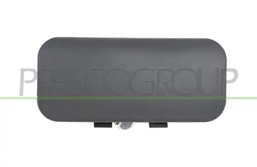 Ручка двери PRASCO FD9108301