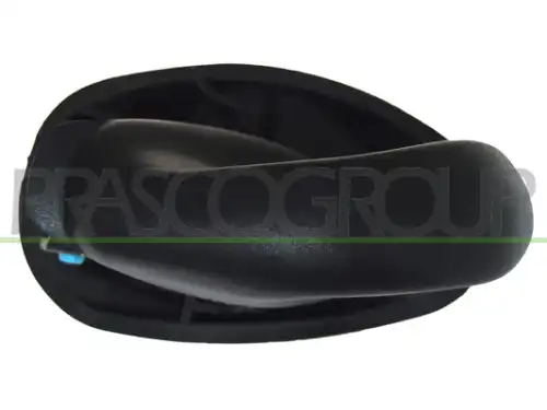 Ручка двери PRASCO FT0198402