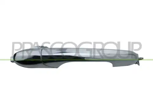 Ручка двери PRASCO FT0308001