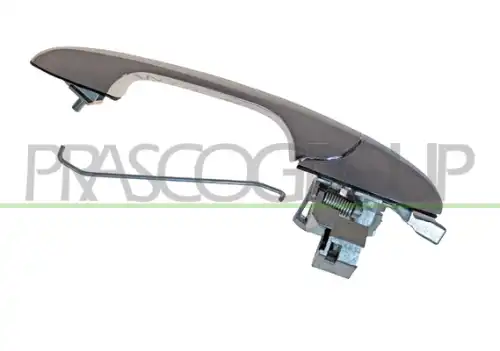 Ручка двери PRASCO FT0308003