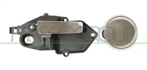 Ручка двери PRASCO FT0308405