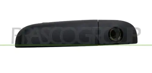 Ручка двери PRASCO FT1248002