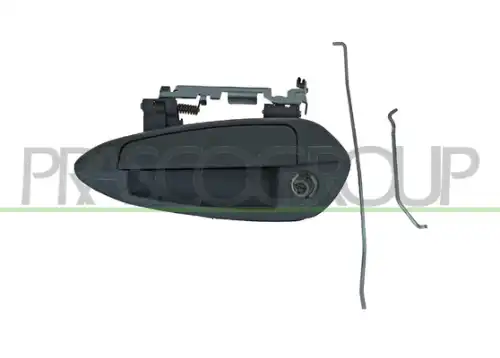 Ручка двери PRASCO FT3428014