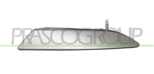 Ручка двери PRASCO FT3428808