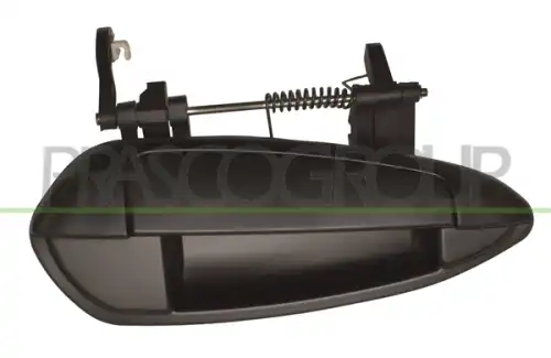 Ручка двери PRASCO FT3448013