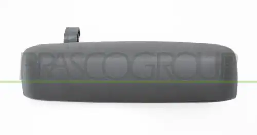 Ручка двери PRASCO FT3508002