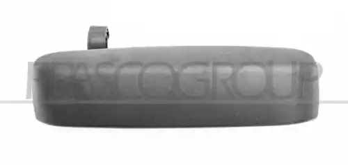 Ручка двери PRASCO FT3508102
