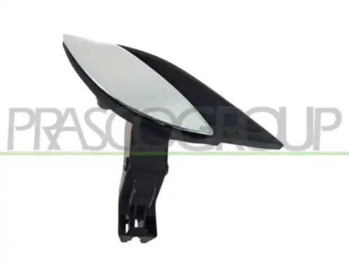 Ручка двери PRASCO FT5208601
