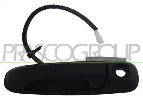 Ручка двери PRASCO JE0118341