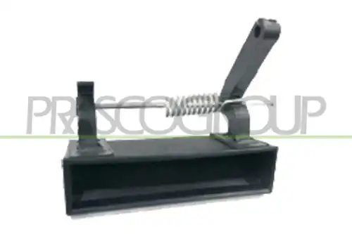 Ручка двери PRASCO JE0308801