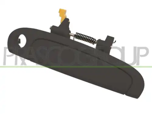 Ручка двери PRASCO KI3208001