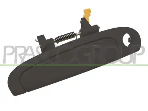 Ручка двери PRASCO KI3208002
