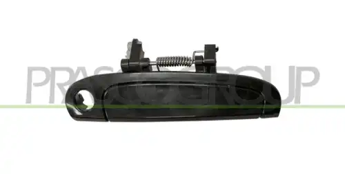 Ручка двери PRASCO KI3208007