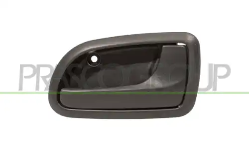 Ручка двери PRASCO KI3208601