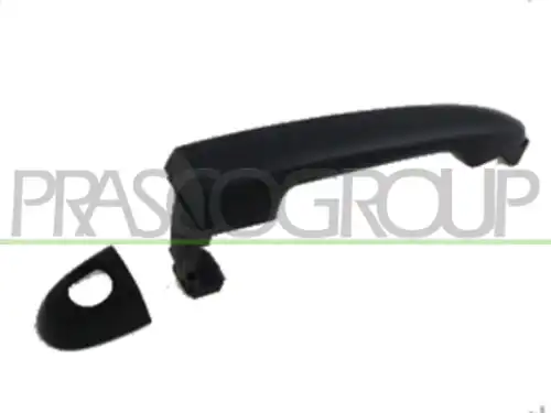 Ручка двери PRASCO KI7328004